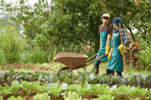 36 đôi bốt cao đến mắt cá chân có sẵn mà chúng tôi khá tâm huyết.