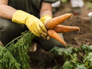 Các vấn đề về khả năng tiếp cận trong cuộc sống và kinh doanh